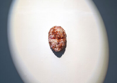 Tamara Goehringer Titel: nagelhaut (masks) Maße: 20x15x6cm  Photo: Hong Cheolki